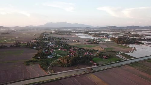 Aerial view Malays kampung at paddy field