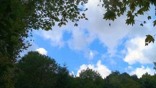 Clouds And Trees