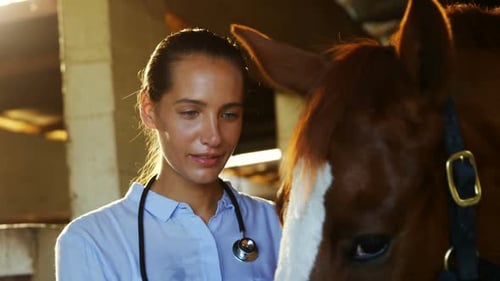 Woman Smiling with Horse in Stable Sunlight