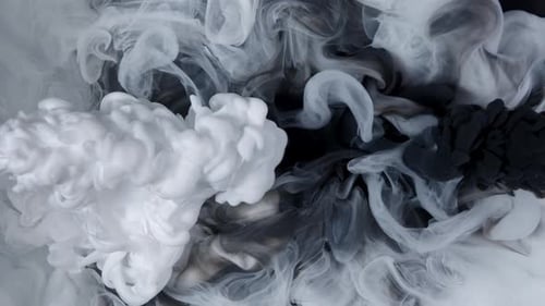 Abstract Ink Plumes Swirl in Black and White