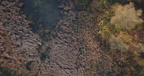 A Close Up of a Green Field