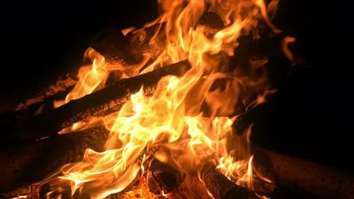 Feu de camping (4K)