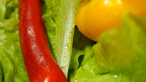 Vegetables