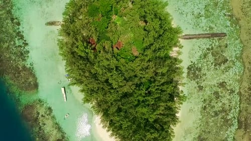 Drone View of Lush Tropical Vegetation Over Beautiful Remote Island.
