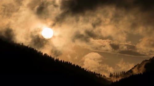 Sonnenuntergang über dem dunklen Wald
