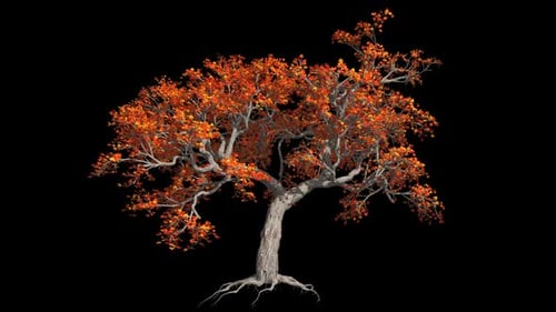 Fabelhafter verzweigter Baum