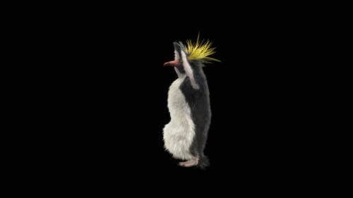 Penguin Dancing HD