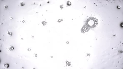 Abstract Bubbles Floating in Clear Liquid