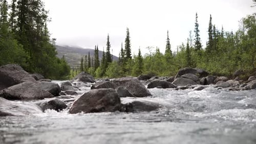 A Stormy Stream of River Carving Its Way Through the Mountain Valley