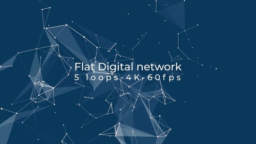 Flat Digital network - 5 loops