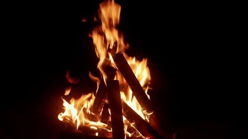 Blazing Bonfire Flames Ignite the Night