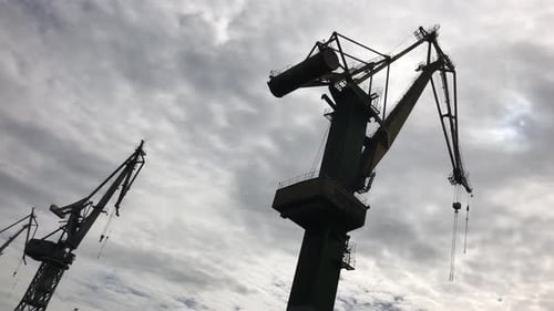 Kranichatten im Hafen von Nowy in Danzig