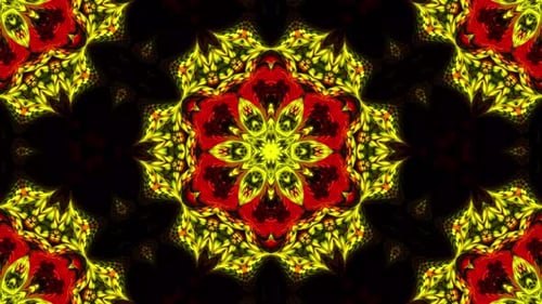 Vj Loop
