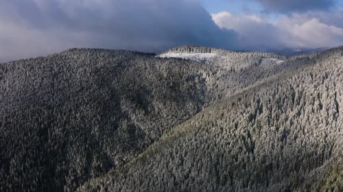 Fliegen von über dichtem Wald in der Wintersaison. Luftaufnahme von Gefrorenen Bäumen