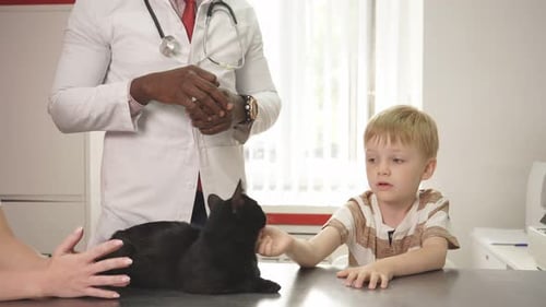 Child Pets Black Cat at Vet Clinic