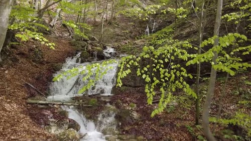 Bewegung über Gebirgsbach Flow im sonnigen Frühlingswald mit grünen Bäumen
