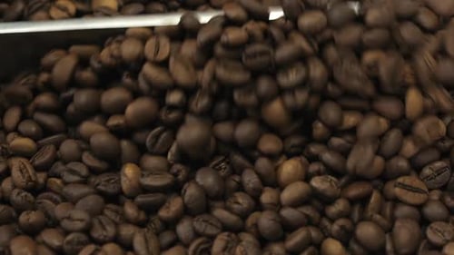 Close View of Mixing and Grinding Roasted Coffee Beans with Equipment, Slowly