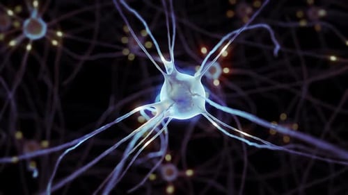 Animação 3D do sistema nervoso humano com grande quantidade de células nervosas pulsantes