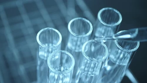 Adding Liquid to Test Tubes in Laboratory Setting