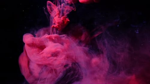 Swirling Pink and Purple Ink on Black