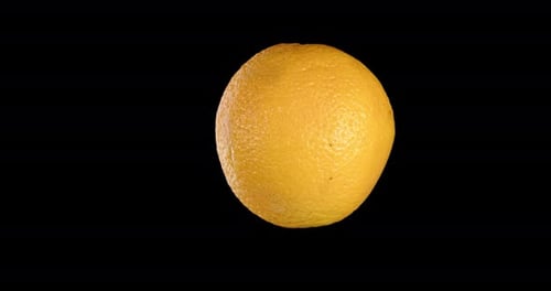 Ripe Orange Rotates Alpha Channel