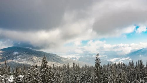 Beautiful Mountain Day, Cloudy Winter Fir-tree