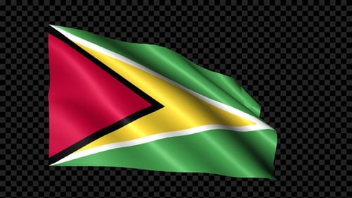 Realistic Guyana Flag Waving Animation