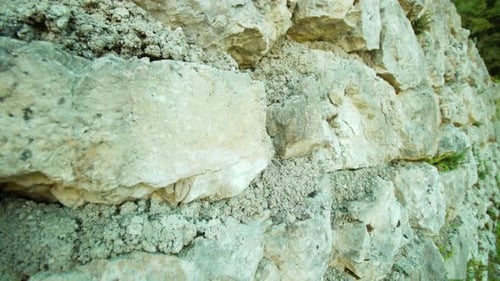 Clôture en pierre avec des roches blanches envahies par la mousse dans le parc