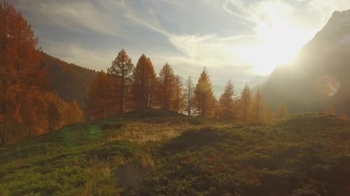 POV Walking on Fall Path to Woodsvalley Lake and Snowy Mounts at Sunset with Sun Flare