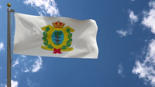 Waving Flag with Ornate Coat of Arms Against Blue Sky