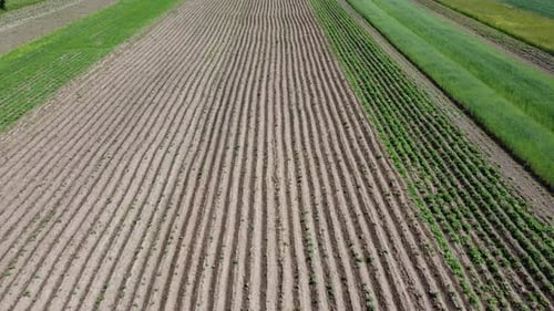 Aerial drone view of a flying over the rural agricultural landscape.
