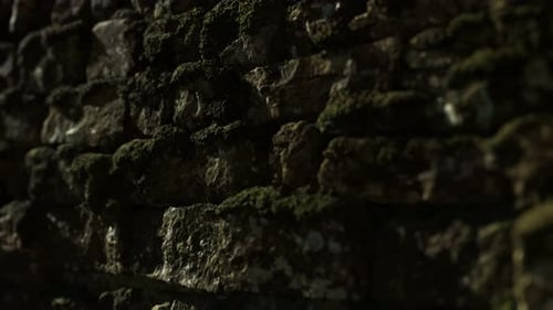Seamless Looping Moss-Covered Stone Wall Background