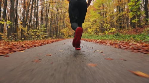 Athlete Runs Through Autumnal Forest Trail