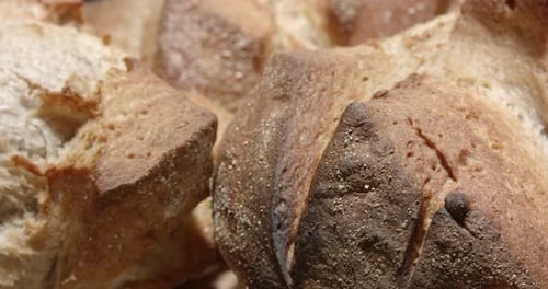 Delicious Crusty Artisan Bread Close Up