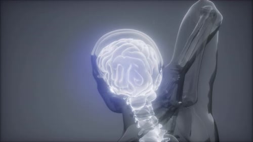 Backache in Back Bones