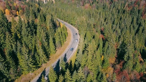 Aerial View From Above on a Car Serpentine Mountain Road in a Picturesque Mountain Area