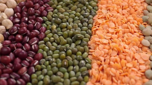 Colorful Display of Assorted Raw Legumes and Lentils