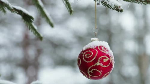 Red Christmas Ornament Hanging on Snowy Tree Branch