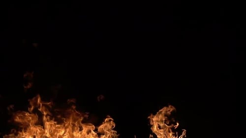 Fire Line 4