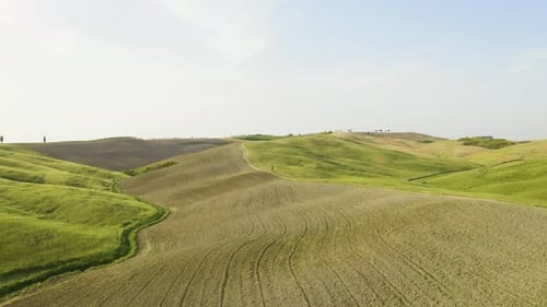 Hills and Meadows