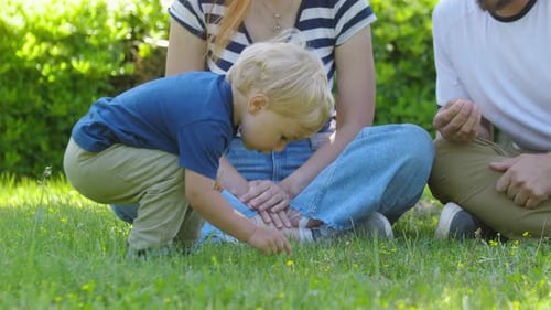 Family Spend Time in the Green Park Little Boy Collecting Flowers and Grass