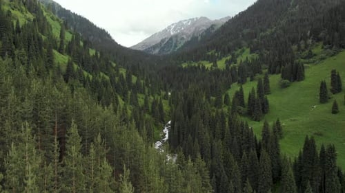 Aerial Drone Shot of Green Mountain Forest and River in Kazakhstan