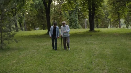 Grandson and Grandfather Walk in the Park and Talk About Life