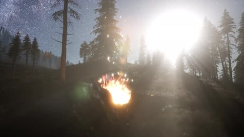 Campfire at Mountain Rorest at Night