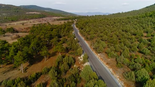 Drone Landscape Of Road In Autumn Forest