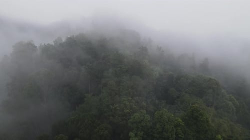 Aerial view of foggy rain forest in near village Indonesia