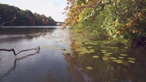 Herbstlicher Park mit See