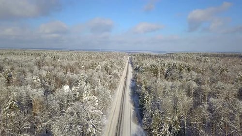 Winter Forest Country Road