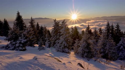 Panorama des verschneiten Winterwaldes in kalten Alpenbergen in der bunten Sonnenaufgang-Natur