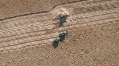 Aerial View on the Harvesters Working on the Large Wheat Field, Harvesting Agricultural Golden Ripe